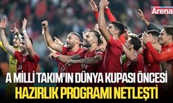 A Milli Takım'ın Dünya Kupası öncesi hazırlık programı netleşti