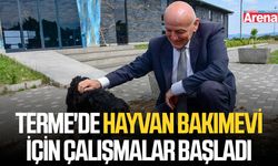 Terme'de Hayvan Bakımevi için çalışmalar başladı