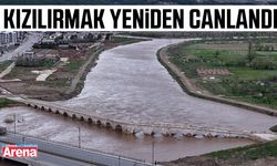 Kızılırmak yeniden canlandı
