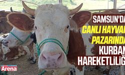 Samsun'da canlı hayvan pazarında kurban hareketliliği