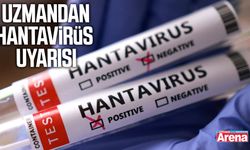 Uzmandan hantavirüs uyarısı