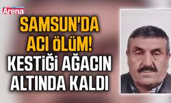 Samsun'da acı ölüm! Kestiği ağacın altında kaldı