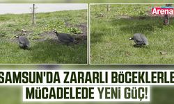 Samsun'da zararlı böceklerle mücadelede yeni güç!