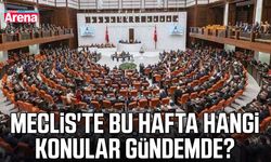 Meclis'te bu hafta hangi konular gündemde?