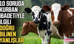 10 soruda kurban ibadetiyle ilgili doğru bilinen yanlışlar