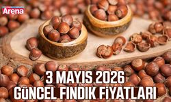 3 Mayıs 2026 güncel fındık fiyatları