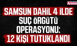 Samsun dahil 4 ilde suç örgütü operasyonunda 12 kişi tutuklandı