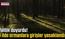 Valilik duyurdu! O ilde ormanlara girişler yasaklandı