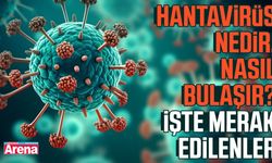 Hantavirüs nedir, nasıl bulaşır? İşte merak edilenler
