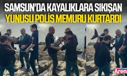 Samsun'da kayalıklara sıkışan yunusu polis memuru kurtardı
