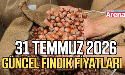 31 Temmuz 2026 güncel fındık fiyatları