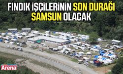 Fındık işçilerinin son durağı Samsun olacak