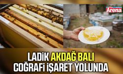 Ladik Akdağ Balı coğrafi işaret yolunda