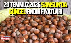 29 Temmuz 2026 Samsun'da güncel fındık fiyatları