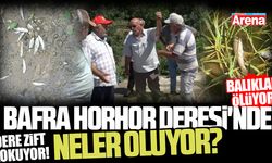 Bafra Horhor Deresi'nde neler oluyor?
