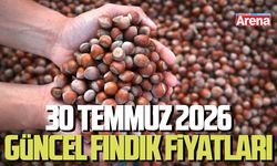 30 Temmuz 2026 güncel fındık fiyatları
