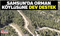 Samsun’da orman köylüsüne dev destek