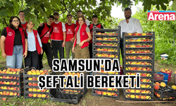 Samsun'da hasat etkinliği şeftali ile başladı