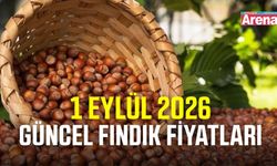 1 Eylül 2026 güncel fındık fiyatları