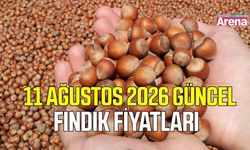 11 Ağustos 2026 güncel fındık fiyatları