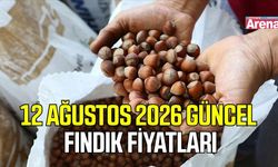 12 Ağustos 2026 güncel fındık fiyatları
