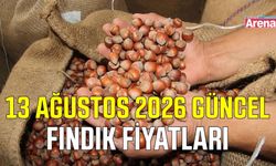 13 Ağustos 2026 güncel fındık fiyatları