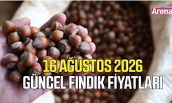 16 Ağustos 2026 güncel fındık fiyatları