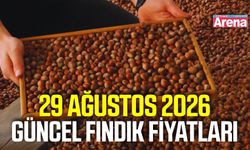 29 Ağustos 2026 güncel fındık fiyatları