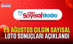 29 Ağustos Çılgın Sayısal Loto sonuçları açıklandı