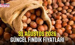 31 Ağustos 2026 güncel fındık fiyatları