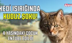 4 yaşındaki çocuğu ısıran kedi kuduz çıktı