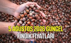 5 Ağustos 2026 güncel fındık fiyatları