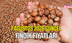 7 Ağustos 2026 güncel fındık fiyatları