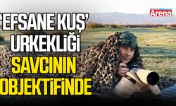 ‘Efsane kuş’ urkekliği, savcının objektifinde