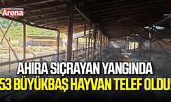 Ahıra sıçrayan yangında 53 büyükbaş hayvan telef oldu