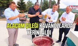 Alaçam çileği kavonozlarda yerini aldı