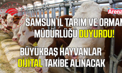 Büyükbaş hayvanlar artık dijital olarak takip edilebilecek