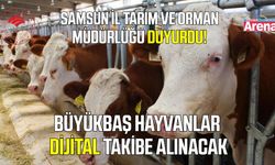 Büyükbaş hayvanlar artık dijital olarak takip edilebilecek
