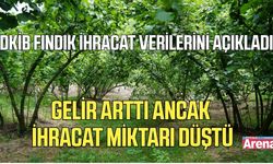 Fındık ihracatında dikkat çeken tablo!