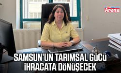 Samsun’un tarımsal gücü ihracata dönüşecek