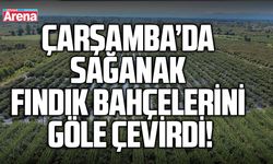 Çarşamba’da sağanak fındık bahçelerini göle çevirdi