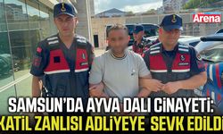 Samsun’da ayva dalı cinayeti: Katil zanlısı adliyede