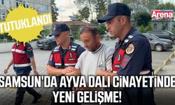 Samsun’da ayva dalı cinayetinde yeni gelişme!