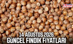 14 Ağustos 2026 güncel fındık fiyatları