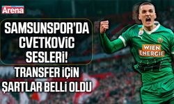Samsunspor’dan Nenad Cvetkovic hamlesi!