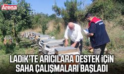 Ladik’te arıcılara destek için saha çalışmaları başladı