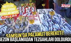 Samsun’da palamut bereketi göz dolduracak!