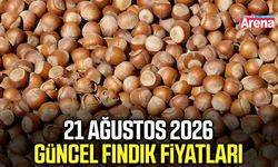 21 Ağustos 2026 güncel fındık fiyatları