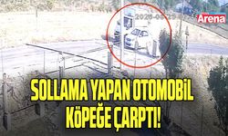 Samsun’da yürek yakan anlar! Köpeğe böyle çarptı