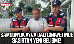 Samsun'da ayva dalı cinayetinde şaşırtan yeni gelişme!